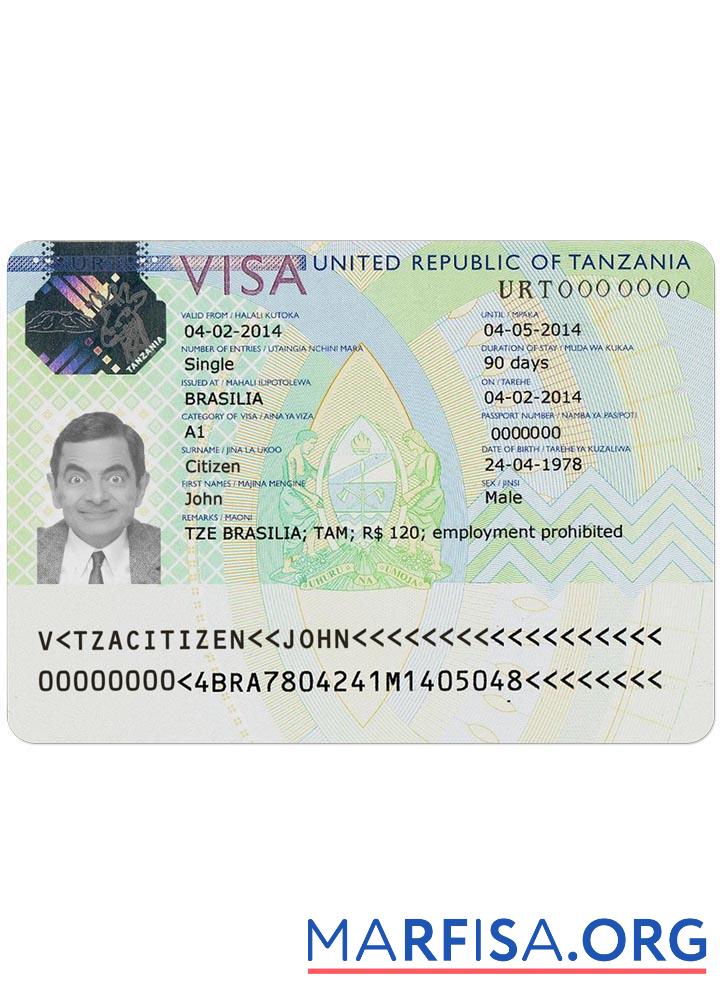 Printable Tanzania visa example